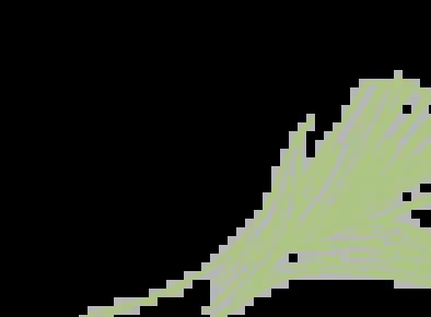 leek